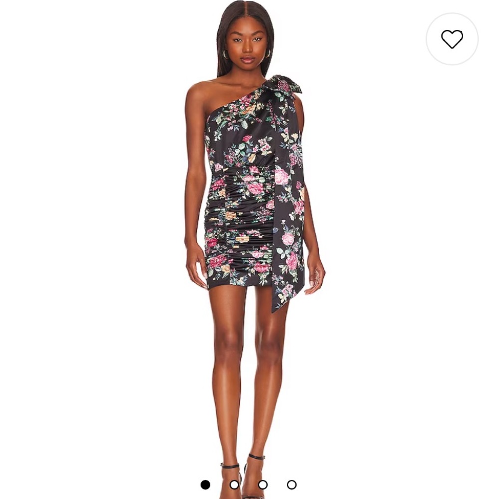 Arianne Mini Dress in Climbing Florida Lovers and Friends